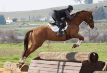 What is the scoring system in cross-country riding?