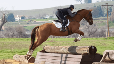 What is the scoring system in cross-country riding?