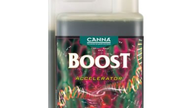 Canna Boost