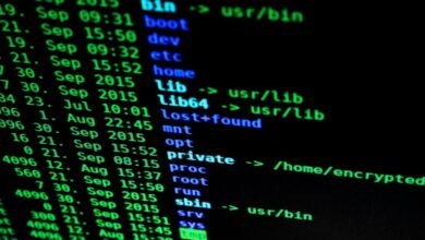 hdfc defeated directory update