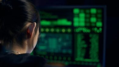 private network s judicial impact