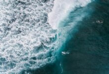 activity overview identifiers listed