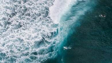 activity overview identifiers listed