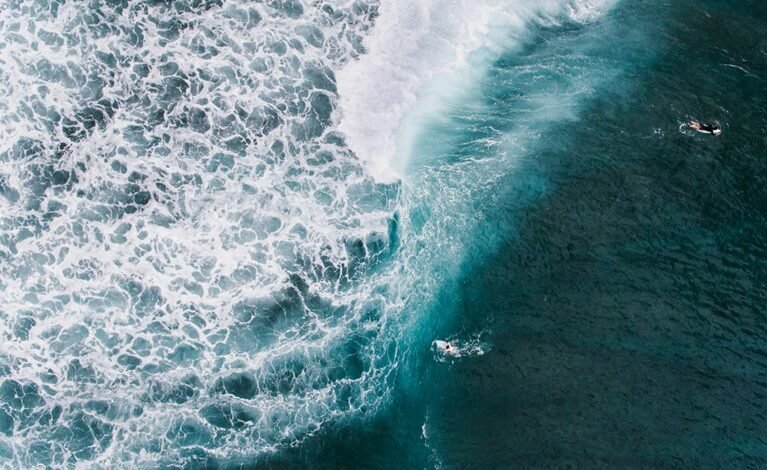 activity overview identifiers listed