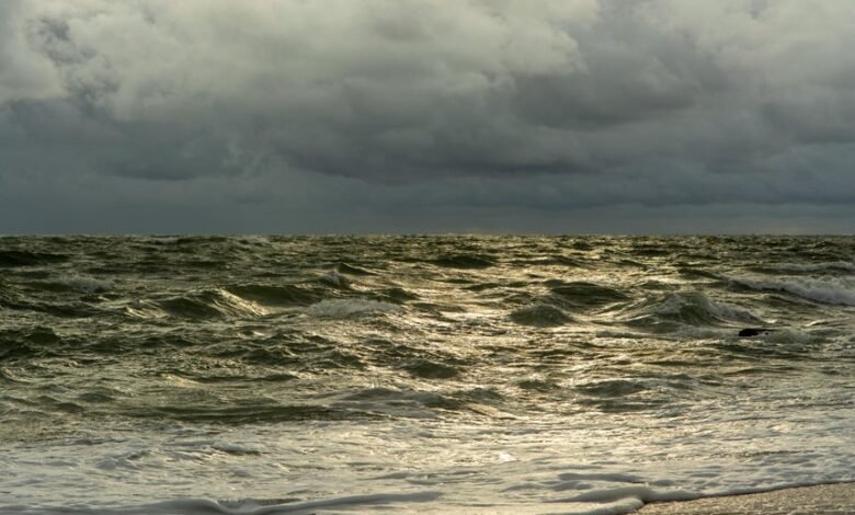 horizon surge revenue increase