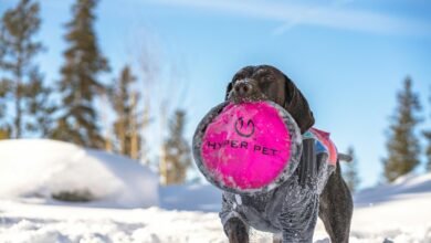 revolution at hyper horizon